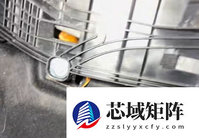 网约车出现“生化异味” 司机贴纸条致歉：螃蟹出逃下落不明