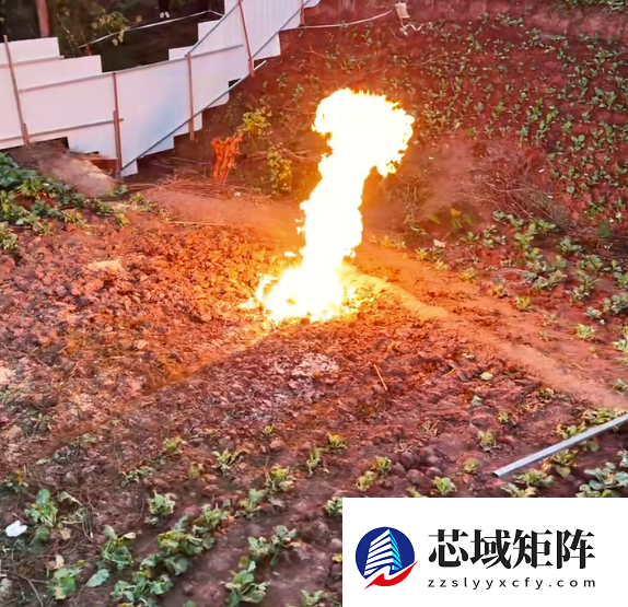 下雨也不灭!四川一菜地冒火烧了8天 当地:系浅表天然气自燃