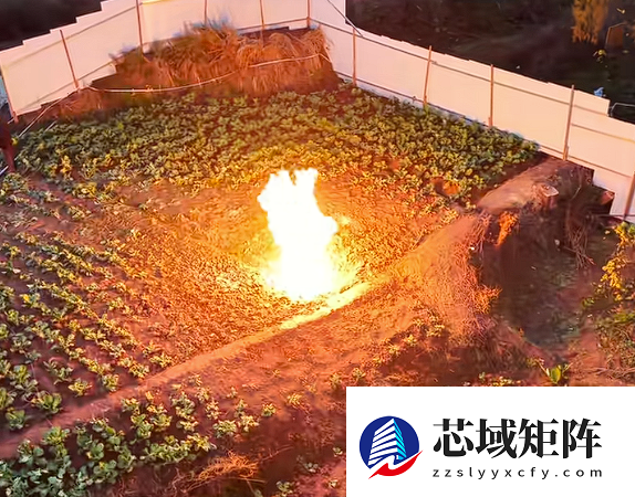 下雨也不灭!四川一菜地冒火烧了8天 当地:系浅表天然气自燃