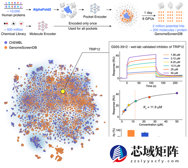 AI筛选药物提速百万倍 首次实现人类基因组规模的全面筛选