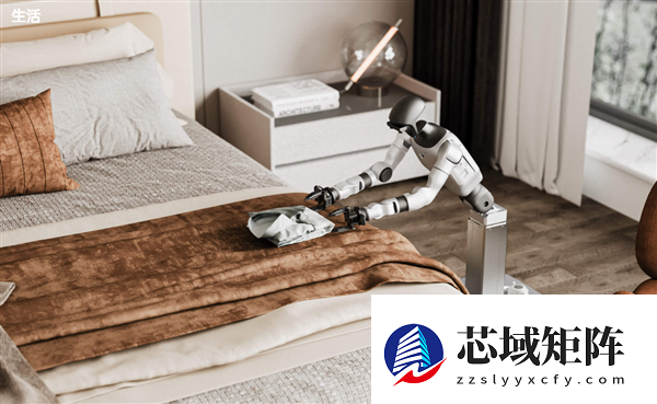 王兴兴谈人形机器人应用前景