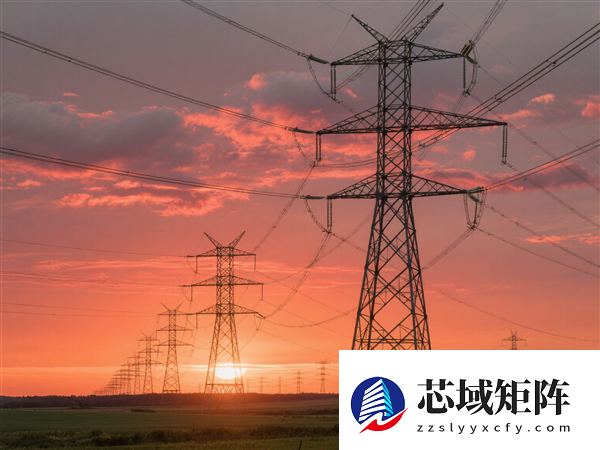 偷3000米高压线致损失超200万！6人团伙获刑