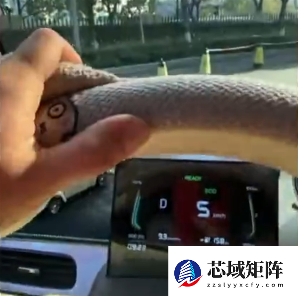 女车主买知豆电动车故障不断：踩电门不走、遮阳板脱落 4S店还关门了