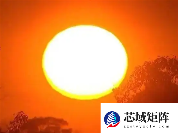 悉尼遭遇史诗级高温：飙至43.5摄氏度 病人迅速增多