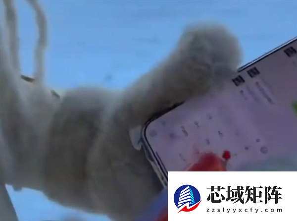 游客带火腿肠勇闯东北 玩手机不冻手 饿了还能充饥