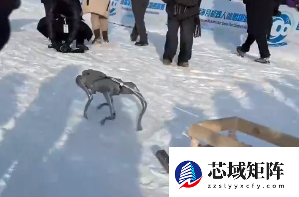 零下20℃极端场景竞技！首届净月机器人冰雪趣味赛来了