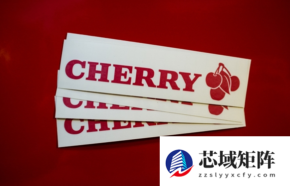 CHERRY推出MX 8.2 Pro TMR无线键盘：采用TMR隧道磁阻技术