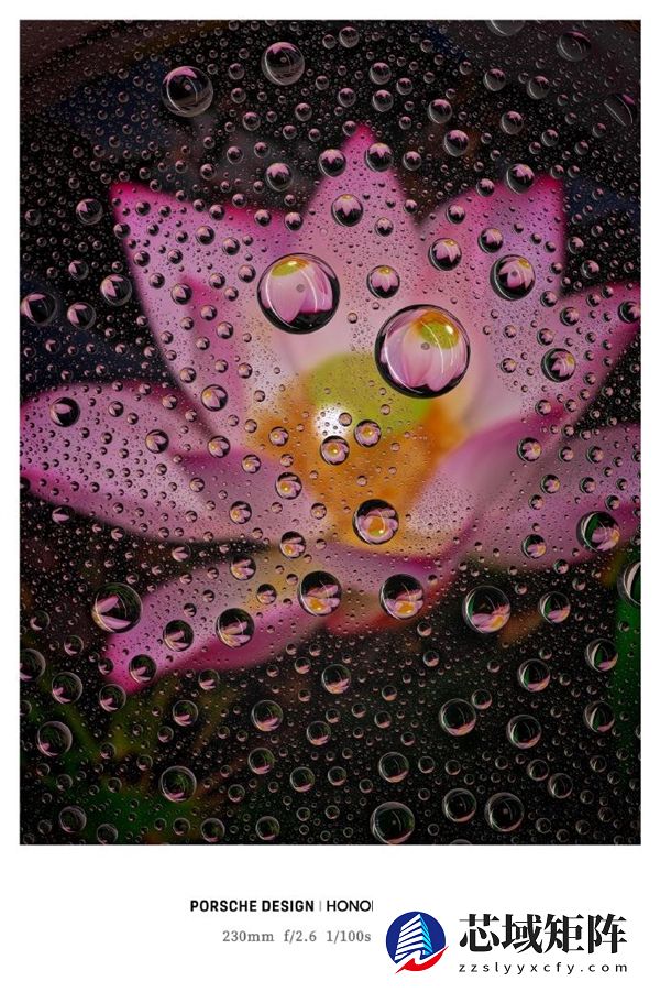 荣耀最强影像旗舰！荣耀Magic8 RSR保时捷设计长焦样张首秀