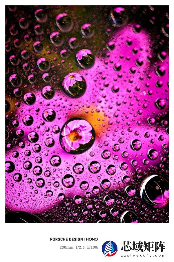 荣耀最强影像旗舰！荣耀Magic8 RSR保时捷设计长焦样张首秀