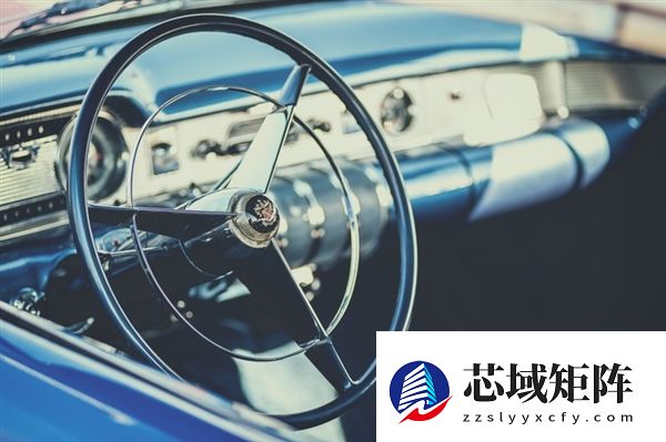 81岁大爷考驾照所有科目一把过：曾开老头乐 如今持证上路