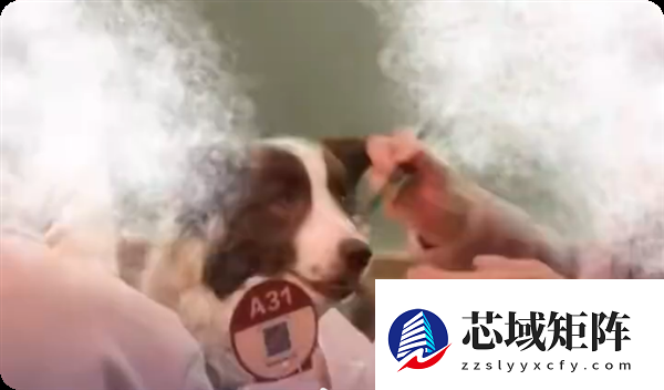 宠物狗上西贝上桌吃饭被质疑 门店：狗没碰餐具 顾客有携带狗盆