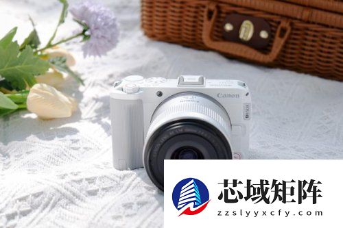 视频专精+色彩出众:6000元内微单榜单,5款拍人好看微单