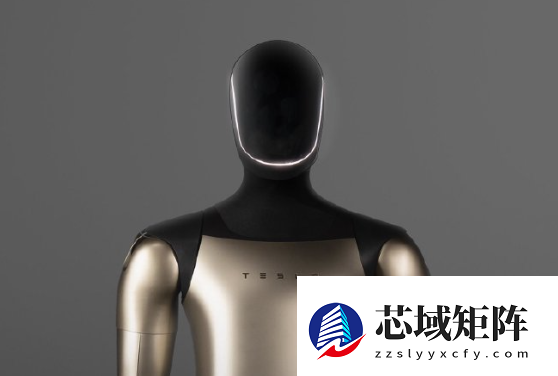 顶级专家回应马斯克外科医生失业论：短期内还看不到这个苗头