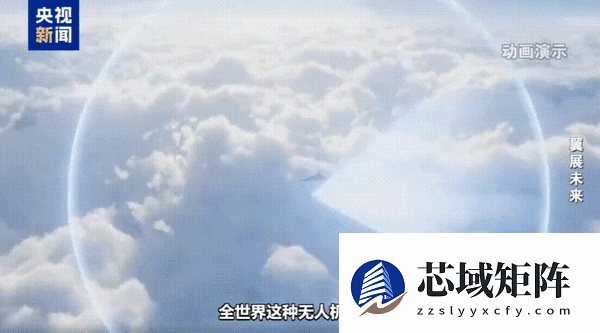 央视详解无侦-8：配备火箭发动机、能清晰定位航母