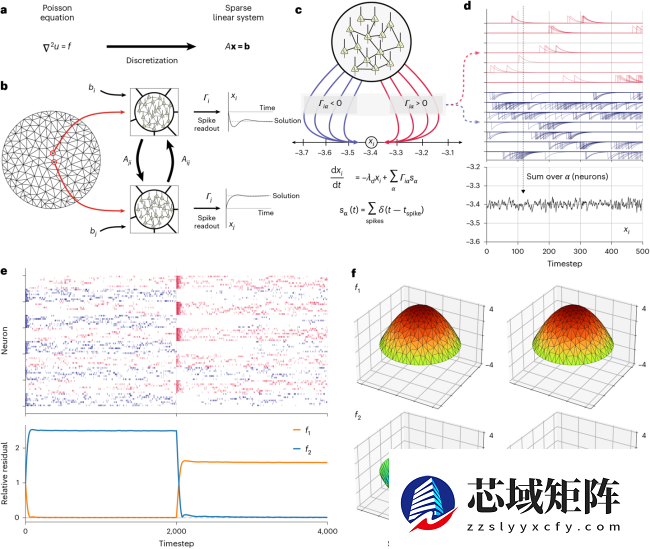 颠覆认知！Nature 子刊：类脑计算机竟是“数学天才”