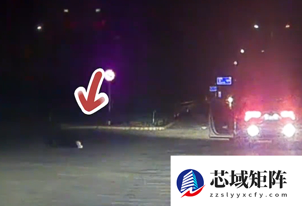 男子醉驾途中下车躺路上呼呼大睡：自己都不知道在哪儿喝醉的