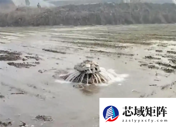 山东一闲置水井突喷热水变“温泉” 当地回应：降水较多 非人为原因