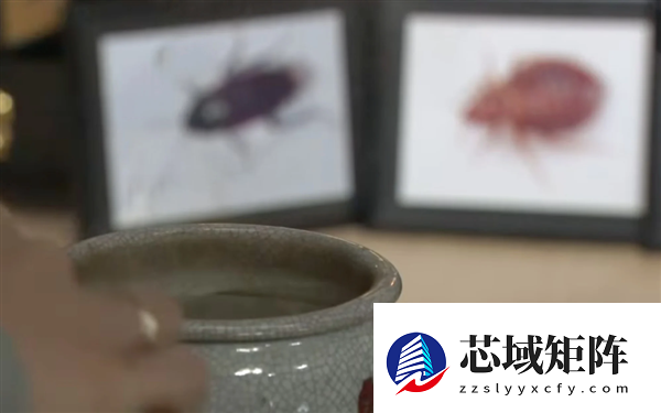 日本人会玩:摆上蟑螂蚊子遗照 百人焚香祭拜