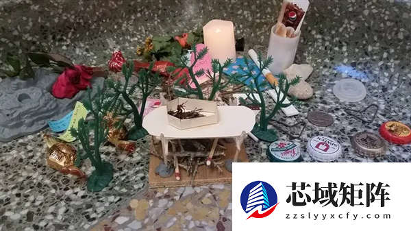 日本人会玩:摆上蟑螂蚊子遗照 百人焚香祭拜