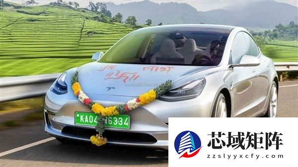 印度电动汽车制造计划陷停滞 没有一家车企参与