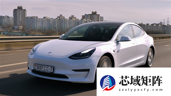 2026年买纯电还是混动 一文读懂用车需求