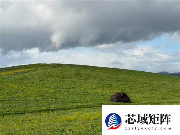 30年未变!路人抓拍Windows XP经典壁纸原景:重现1996年场面