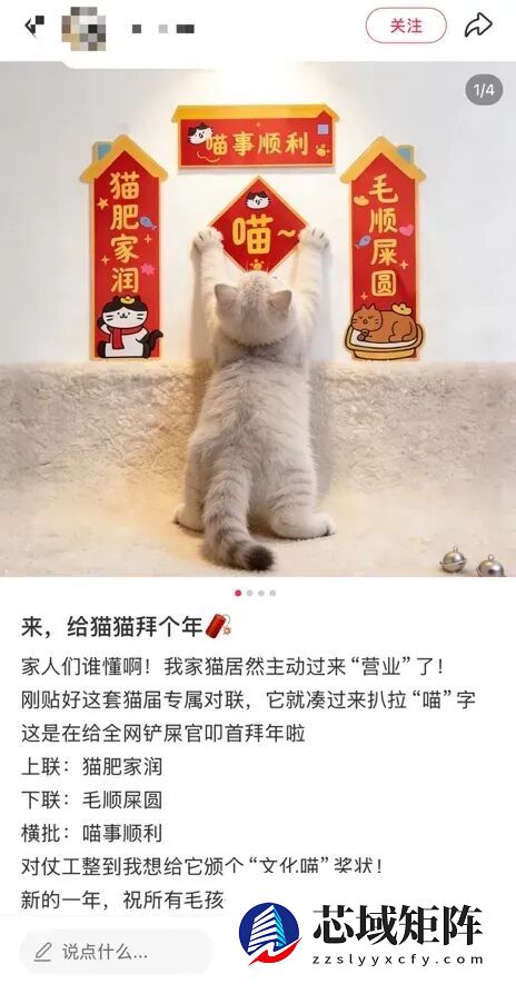 看懵了!这届年轻人的春节 路子相当野