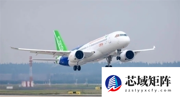 对标飞机双引擎!特斯拉AI4双芯片可实现独立供电与通信