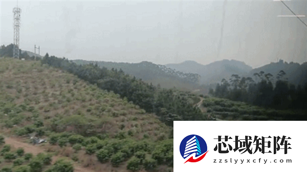 为什么晕车的人很多 却感觉晕高铁的人很少