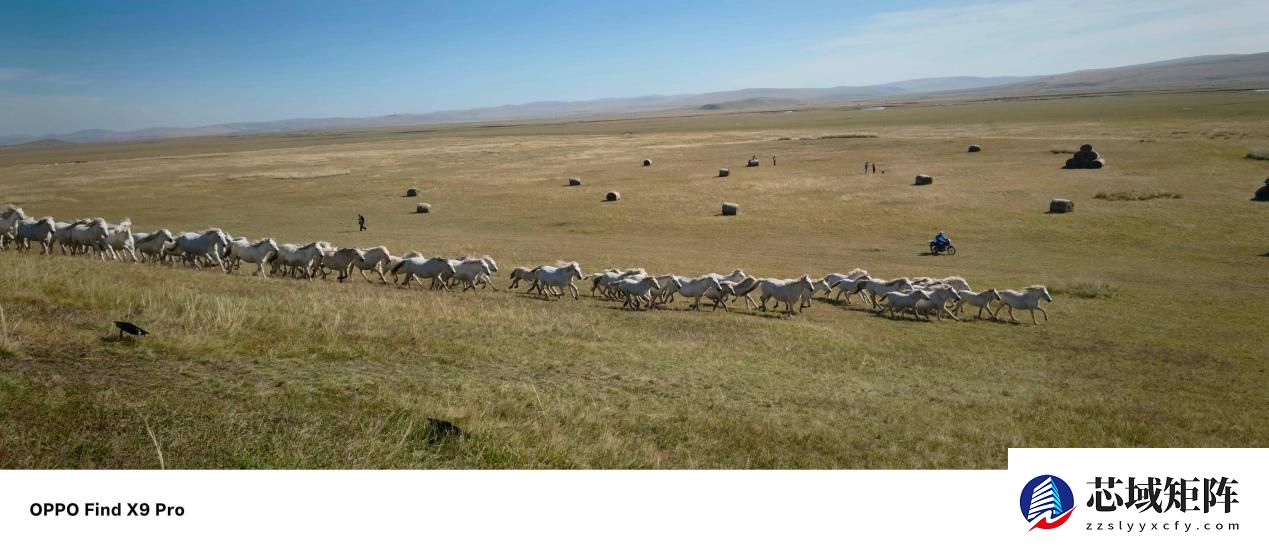 OPPO的2025:AI添翼,脚踏实地