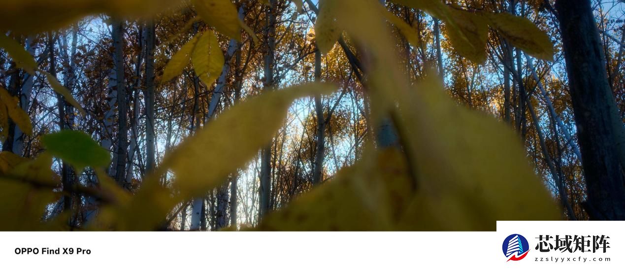 OPPO的2025:AI添翼,脚踏实地