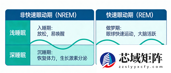 还在看智能手表的睡眠监测?这准确率还不如丢硬币