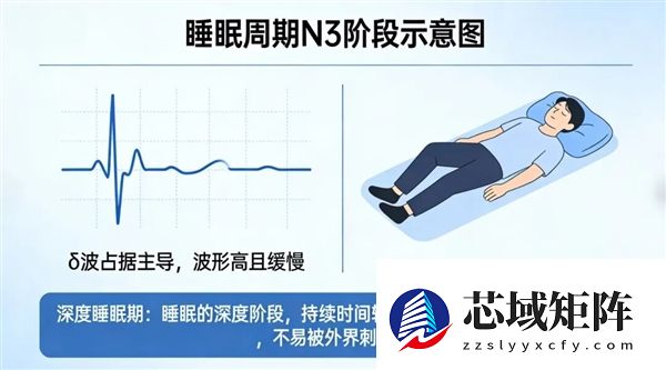 还在看智能手表的睡眠监测?这准确率还不如丢硬币