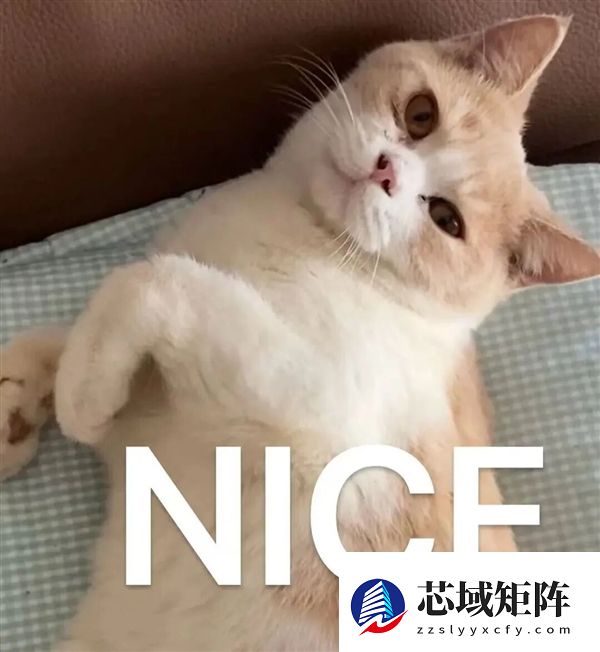 吓崩华尔街的AI末日预言报告被证伪 纳斯达克道琼斯都白跌了