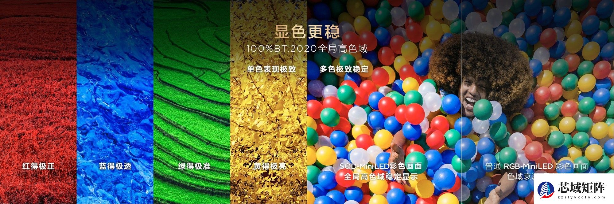 好画质不只高色域!TCL SQD技术下放Q10M系列,重新洗牌高端电视市场