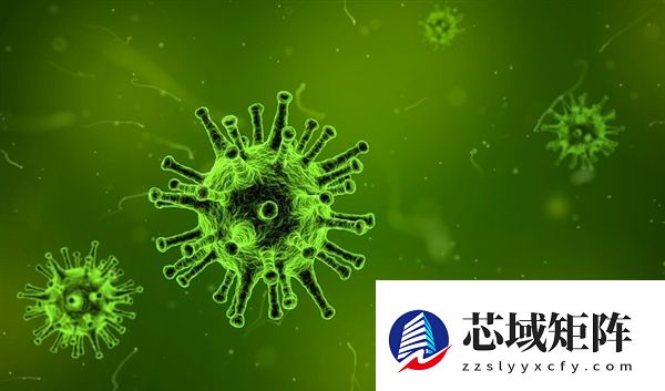 死亡率高达40%到75%：印度爆发疫情能人传人 尚无疫苗和有效疗法