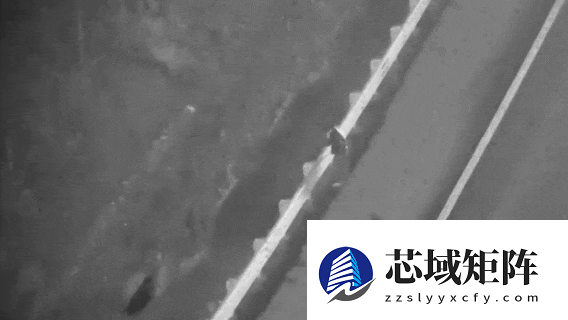 男子夜晚吵架后误入高速 无人机热成像仅1分钟找回