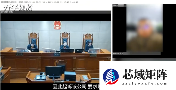 全国首例生成式AI幻觉引发侵权案宣判：平台不存在过错