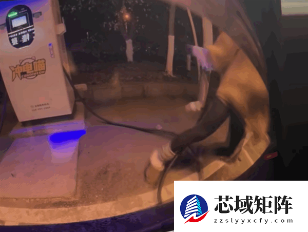 沈阳一女车主给电车充电 结果被充电线缆“打了一顿”