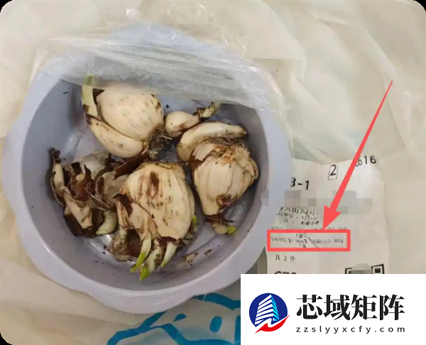 盒马误送有毒水仙球致老人孩子中毒 赔偿375万分歧较大仍在协商