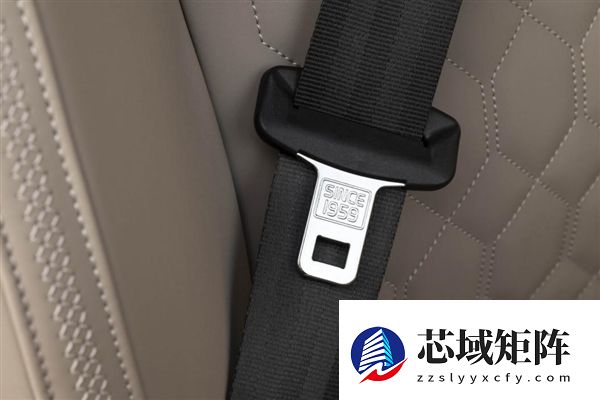 时隔67年沃尔沃重塑汽车安全带：从传统3种扩展至11种