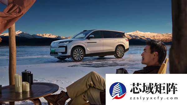 2025车企复购率榜单出炉：比亚迪车主复购率30.55%位居第一