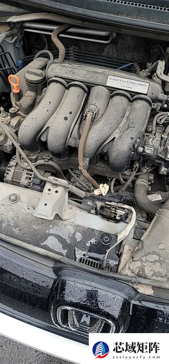 本田飞度冷车启动后异响遭集体投诉 车主：厂家知道是通病却不召回
