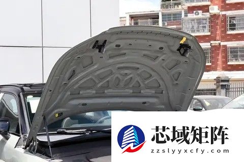 沃尔沃XC40纯电充电口故障及应对措施