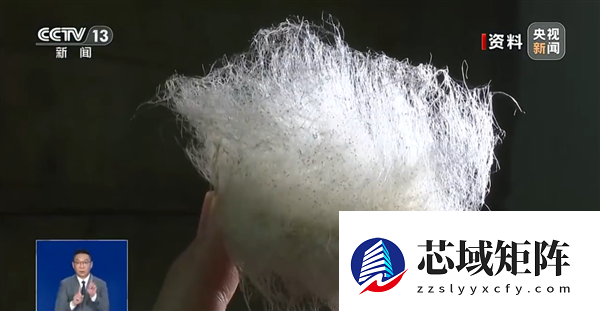 自制霉豆腐火了！央视提醒不要尝试：可能爆发致病杂菌