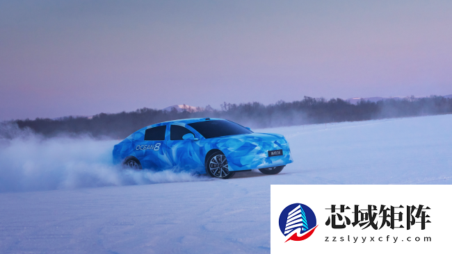 旗舰登场，比亚迪海豹 08 官方伪装照公布