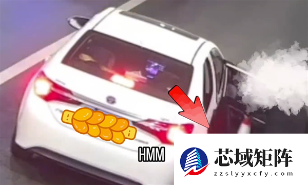 啥便宜都占 男子高速上停车顺走锥桶：只为在小区占车位用