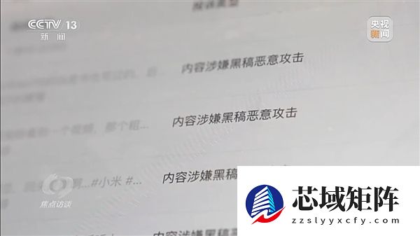 央视起底新能源汽车行业网络黑产：车企间也会相互攻击 高管下场拉踩