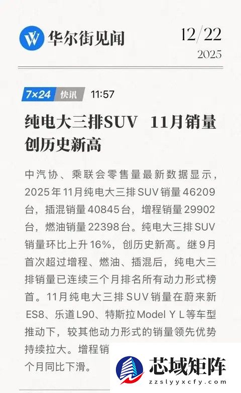 4.6万家庭选择纯电三排SUV背后的消费升级新趋势
