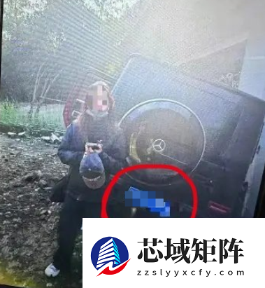 演员金晨被曝肇事逃逸让助理顶包 交警回应：正在核实